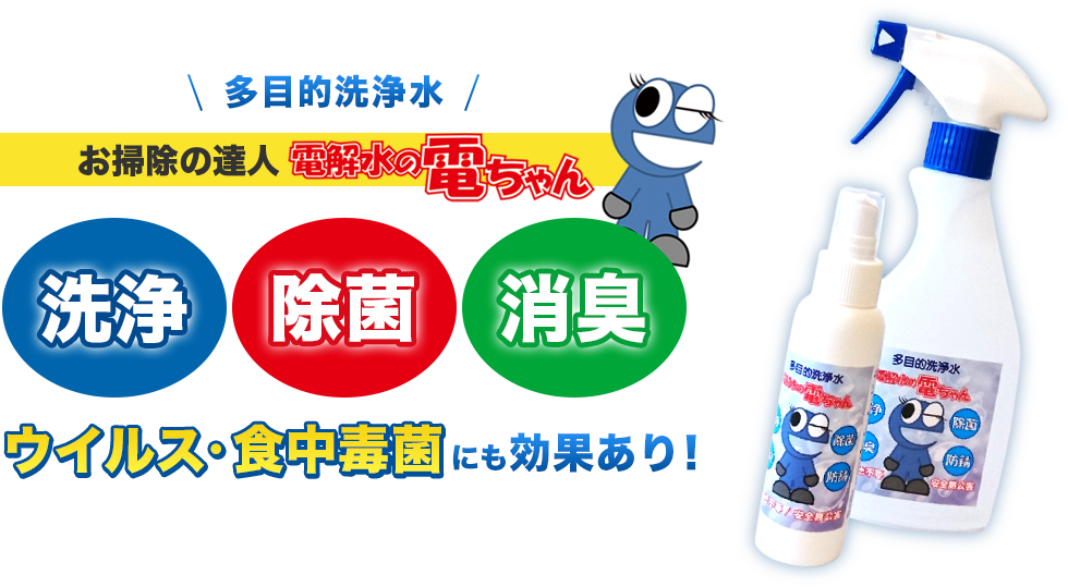 多目的洗浄水 お掃除の達人 電解水の電ちゃん 洗浄・除菌・消臭 ウイルス・食中毒菌にも効果あり！